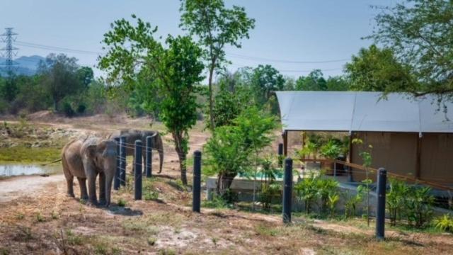 Elephant View Camp Ban Huai Thawai Exterior foto
