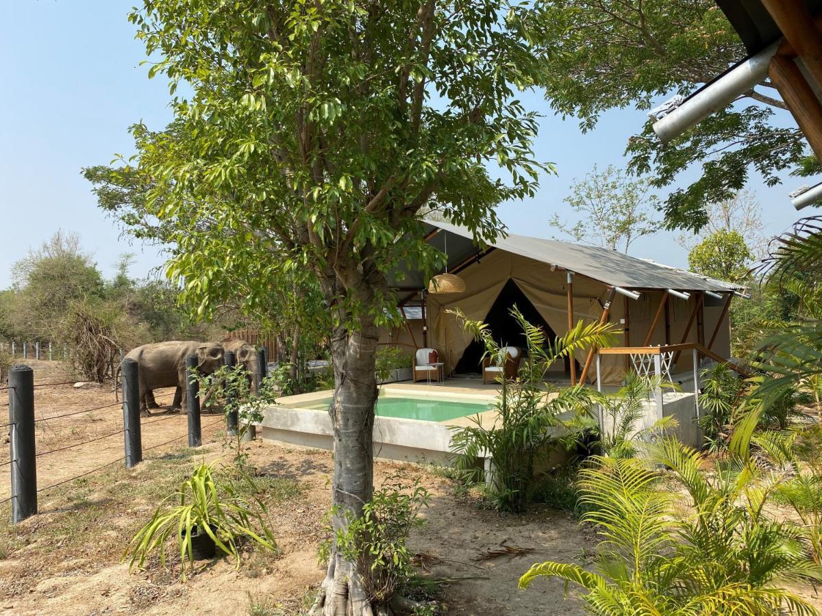 Elephant View Camp Ban Huai Thawai Exterior foto